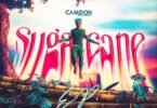 AUDIO Camidoh - Sugarcane Remix Sped Up MP3 DOWNLOAD