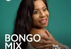 Download Bongo Mix Ft Lady Jaydee On Mdundo