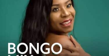 Download Bongo Mix Ft Lady Jaydee On Mdundo