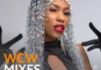 Download WCW Mixes Ft Vinka on Mdundo