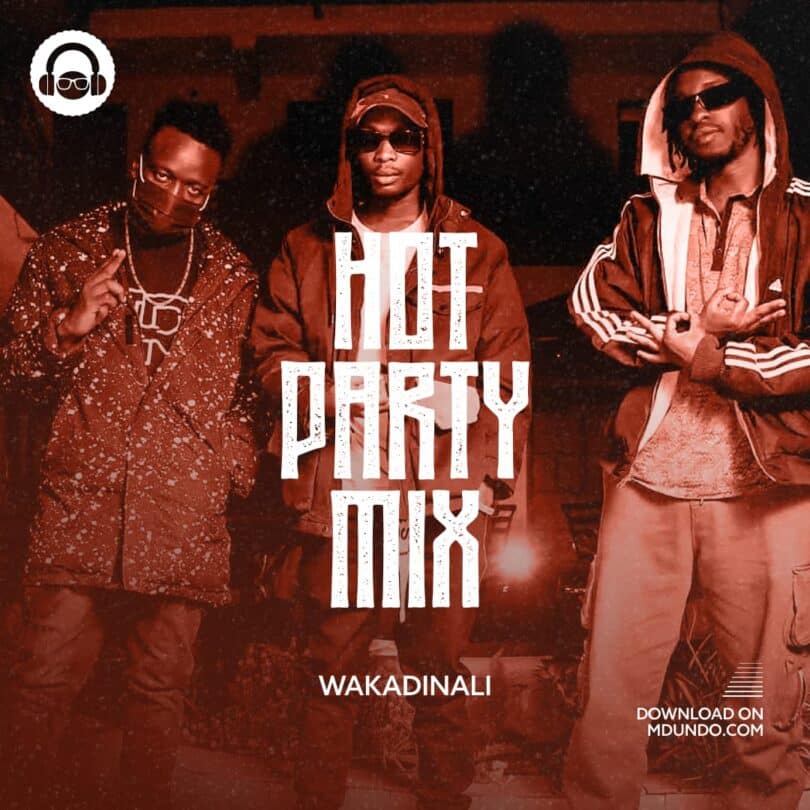 Download Hot Party Mix Ft Wakadinali on Mdundo — citiMuzik