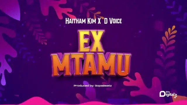 AUDIO Haitham Kim - Ex Mtamu Ft D Voice MP3 DOWNLOAD