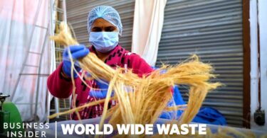 VIDEO How Banana Plant Waste Is Turned Into Sanitary Pads in India