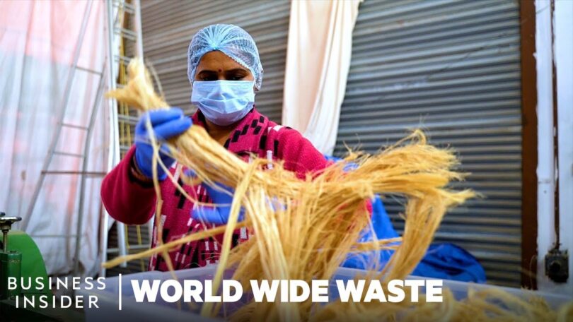 VIDEO How Banana Plant Waste Is Turned Into Sanitary Pads in India