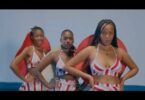 VIDEO Platform Tz – Nileweshe MP4 DOWNLOAD