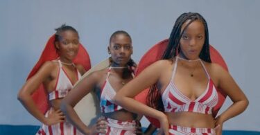 VIDEO Platform Tz – Nileweshe MP4 DOWNLOAD