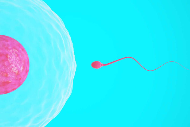 Can I Get Pregnant if I Have Sex on My Period?