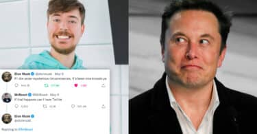 Mr. Beast wants the Twitter CEO vacant position Elon Musk is offering