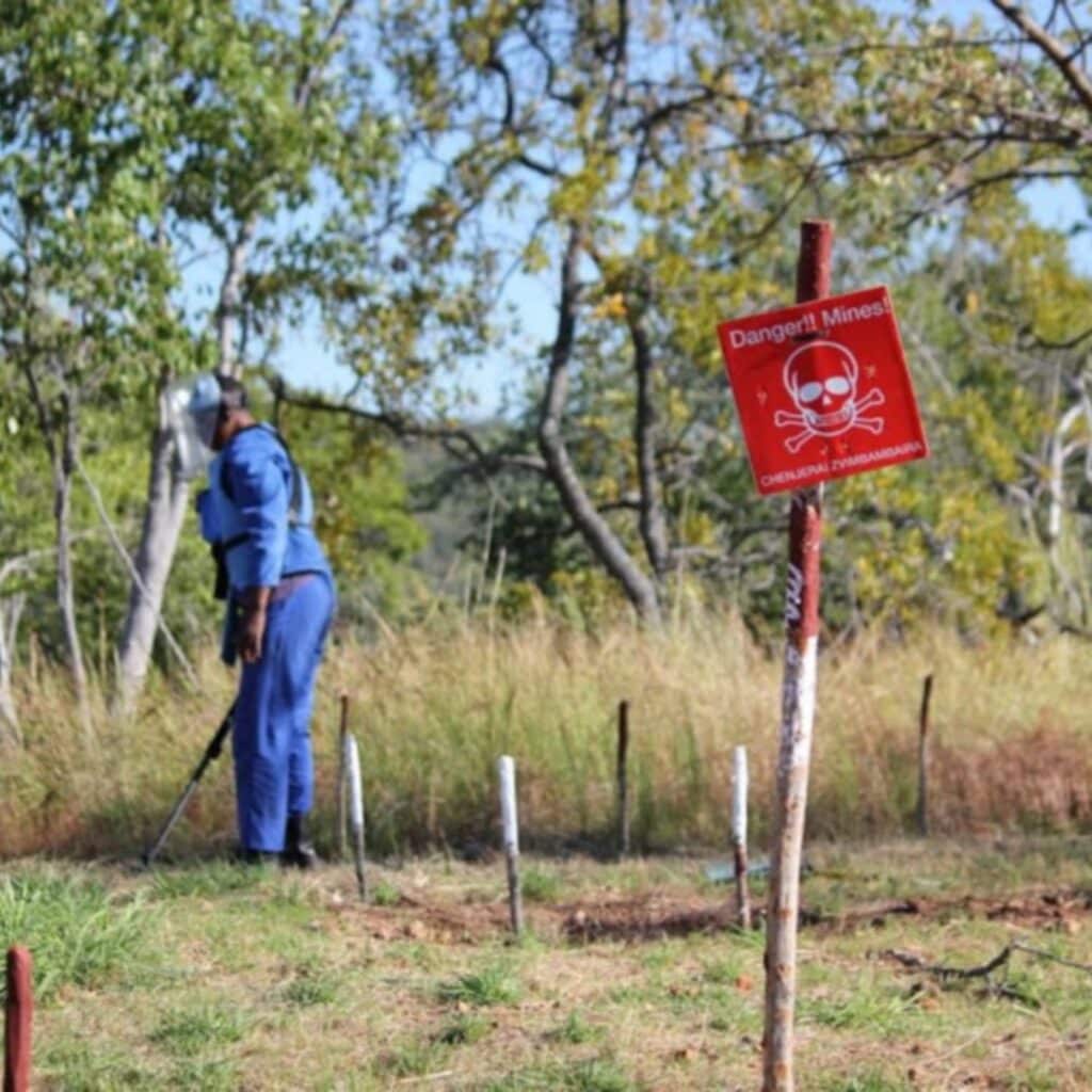 Zimbabwe's Women Deminers Sweep Away Fear And Stereotypes