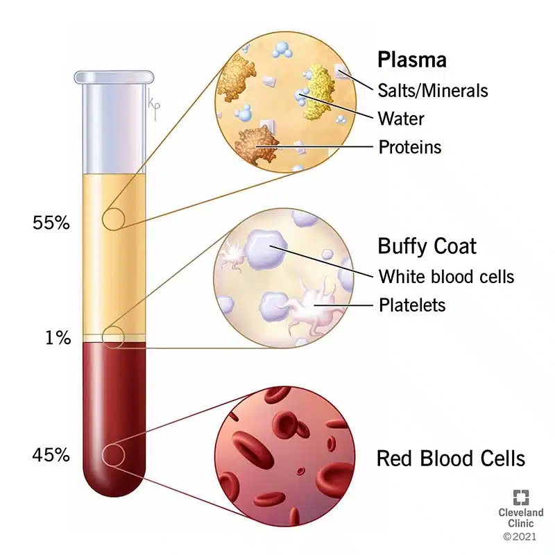 How often can you donate Plasma