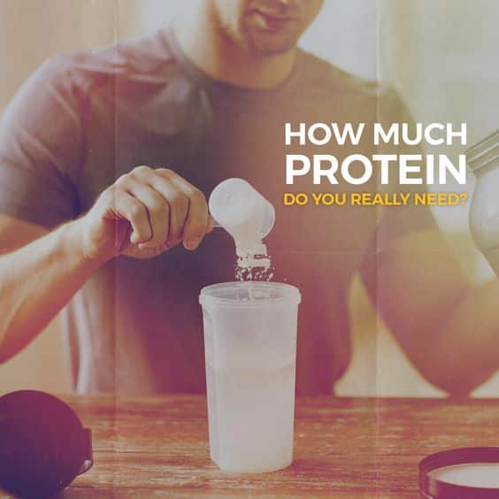 How Much Protein Does Your Body Need 3920