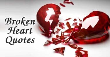 Broken Heart Quotes to Help You Move Forward 2023