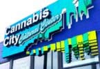 Cannabis City: Opening & Closing time