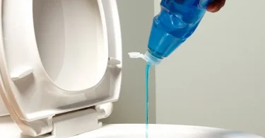 How to unclog a Toilet Without a Plunger