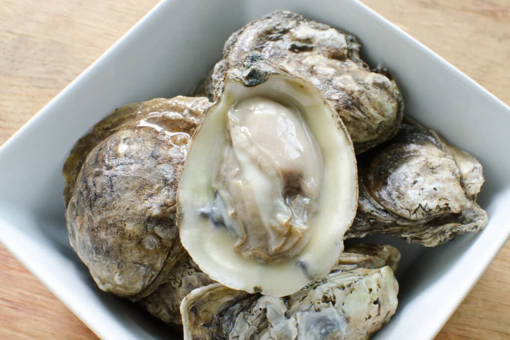 How To Eat And Cook Oyster 2023