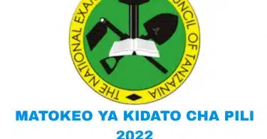 Matokeo ya kidato Cha Pili 2023 - Form Two FTNA Results 2022/2023