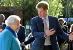 Prince Harry Royal family ambushes harmed Queen’s health