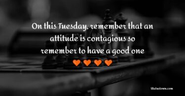 Tuesday Quotes to stay motivated during the weekdays 2023