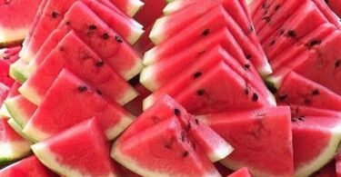 When to Plant watermelon?