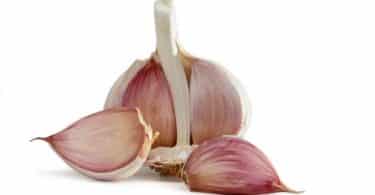 All To Know About Garlic