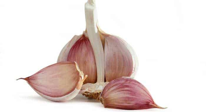 All To Know About Garlic