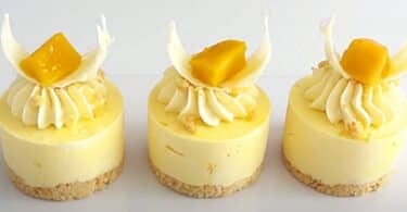 Mini Mango Cheesecake