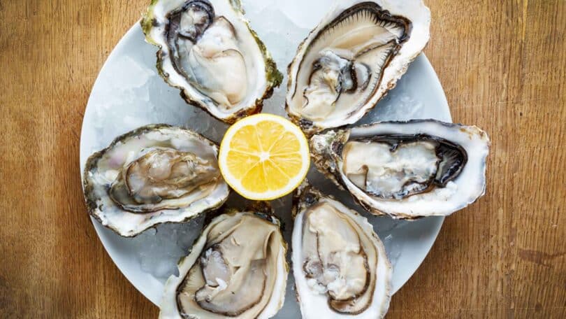 How To Eat And Cook Oyster 2023