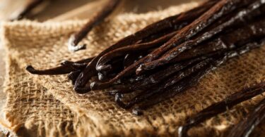 Where does Vanilla Flavor come from?