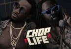 D'Banj Ft. Timaya - Chop Life Lyrics