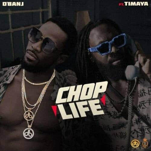 D'Banj Ft. Timaya - Chop Life Lyrics