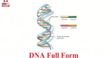 DNA Full Form - Meaning and Facts about Deoxyribonucleic acid