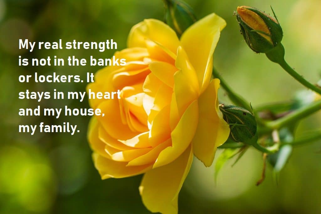 Family Quotes That Reflect The Happiness Your Family Gave You 1 