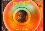 Janelle Monae Ft Seun Kuti X Egypt 80 - Float Lyrics