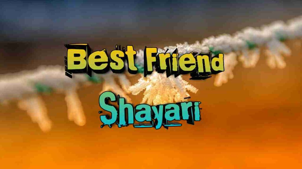 50-best-friendship-shayari-in-hindi-2023-citimuzik