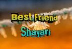 50 Best Friendship Shayari in hindi 2023