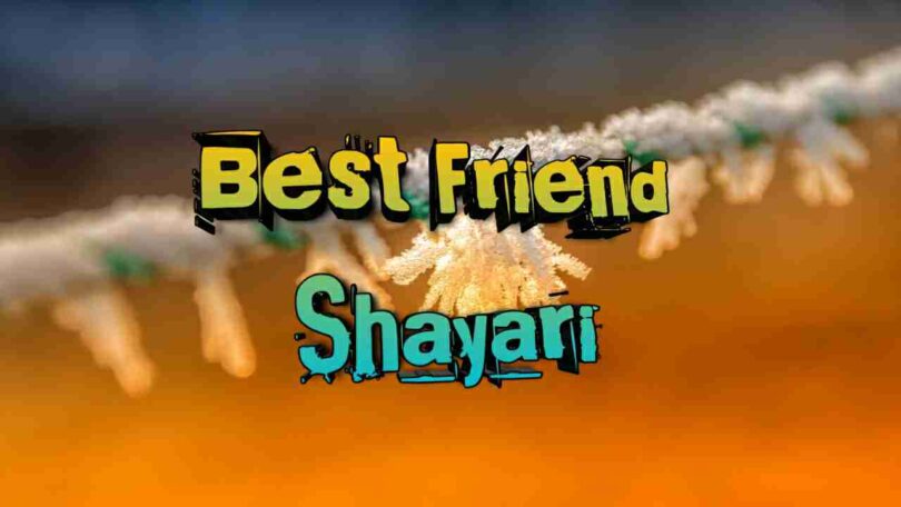 50 Best Friendship Shayari in hindi 2023