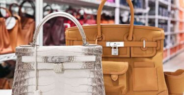 10 Best Birkin Bags for Women 2023