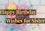 100 Beautiful Birthday Wishes For Sister