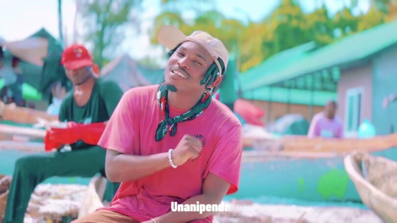 VIDEO Vanillah Ft Kayumba - Unanisitiri Remix MP4 DOWNLOAD