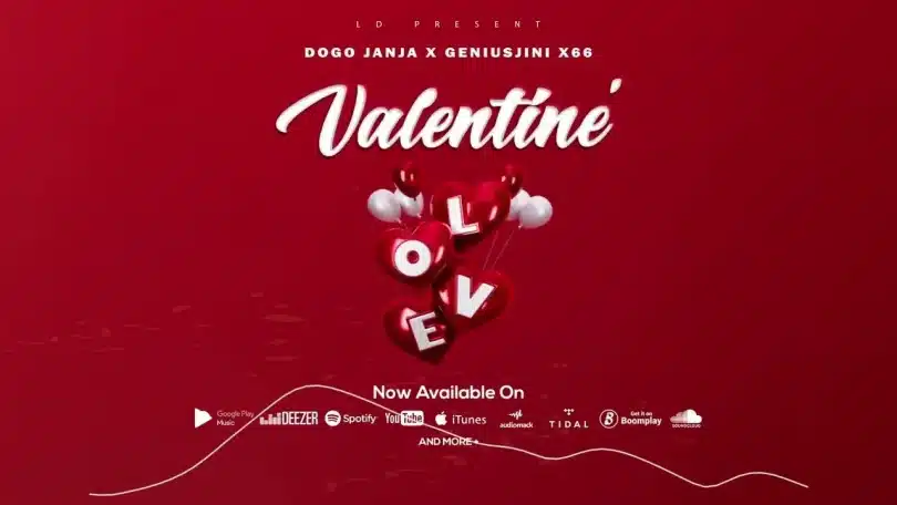 AUDIO Dogo Janja - Valentine Ft Geniusjini X66 MP3 DOWNLOAD