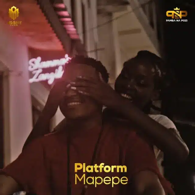 AUDIO Platform Tz – Mapepe MP3 DOWNLOAD