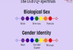 LGBTQIA Meaning - What does 'LGBTQIA' mean?