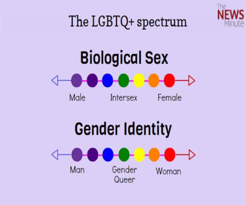 LGBTQIA Meaning - What does 'LGBTQIA' mean?