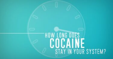 How long does Cocaine stay in Urine?