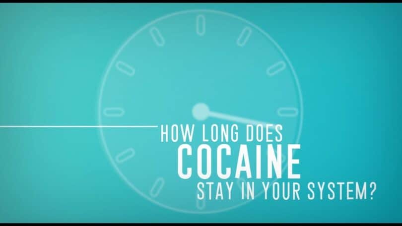 How long does Cocaine stay in Urine?