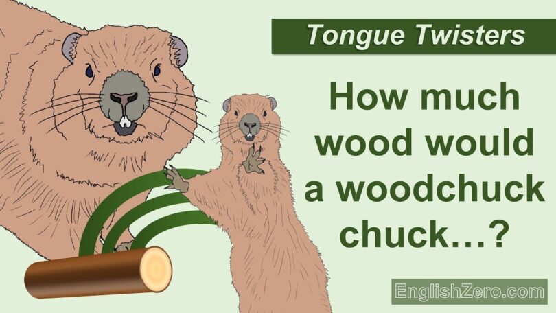 How much wood could a Woodchuck Chuck?