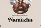 AUDIO Dj Joozey Ft. Harmonize - Namficha MP3 DOWNLOAD