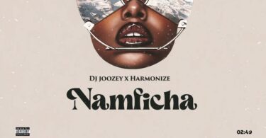 AUDIO Dj Joozey Ft. Harmonize - Namficha MP3 DOWNLOAD