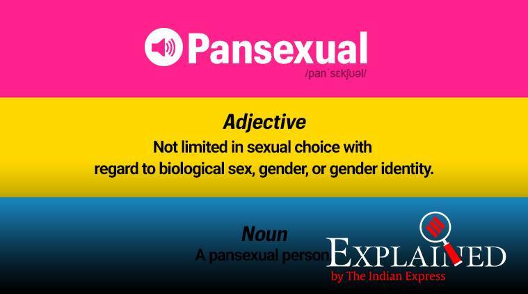 What does Pansexual Mean?