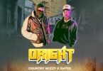 AUDIO Country Wizzy - Oright Ft Emtee MP3 DOWNLOAD